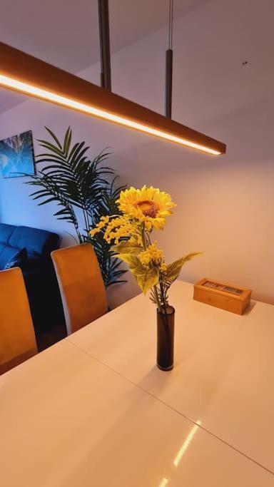 Pool, Sauna & Schwarzwald-Idylle Apartman Unterkirnach Kültér fotó