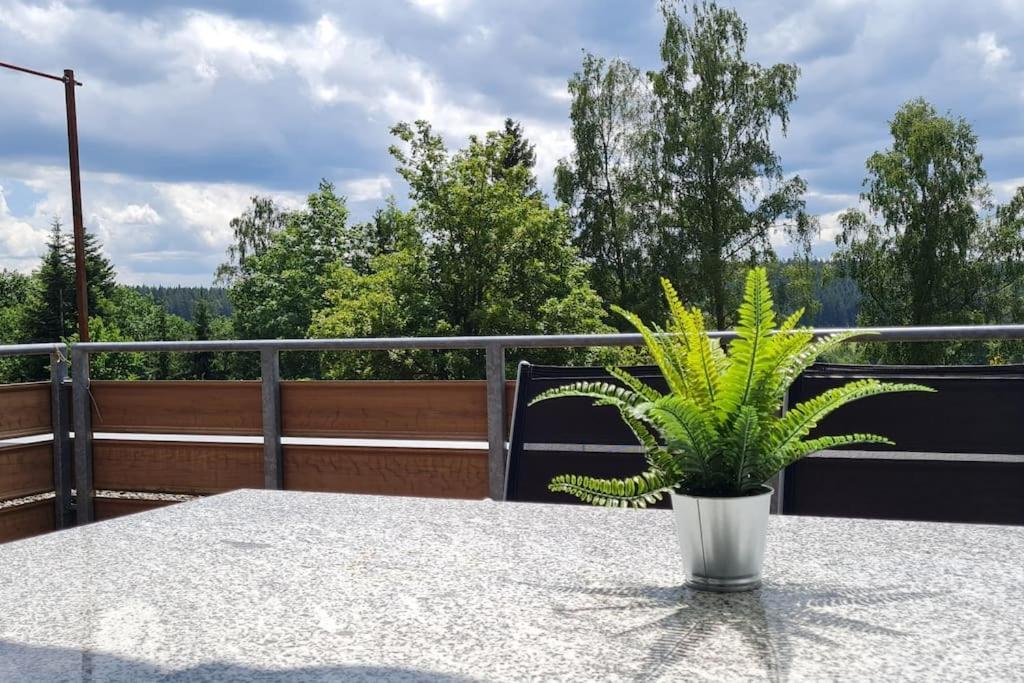 Pool, Sauna & Schwarzwald-Idylle Apartman Unterkirnach Kültér fotó